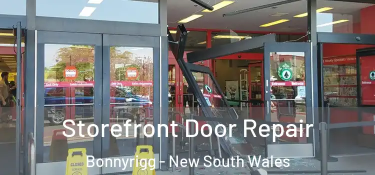 Storefront Door Repair Bonnyrigg - New South Wales