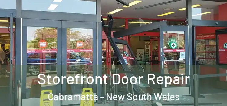 Storefront Door Repair Cabramatta - New South Wales