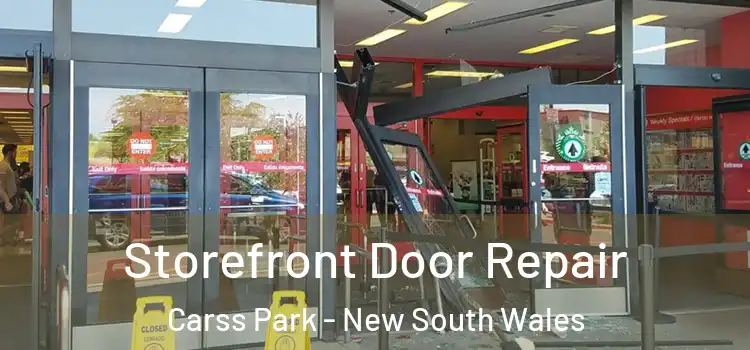 Storefront Door Repair Carss Park - New South Wales