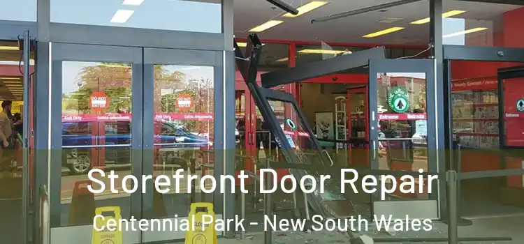 Storefront Door Repair Centennial Park - New South Wales