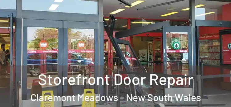 Storefront Door Repair Claremont Meadows - New South Wales