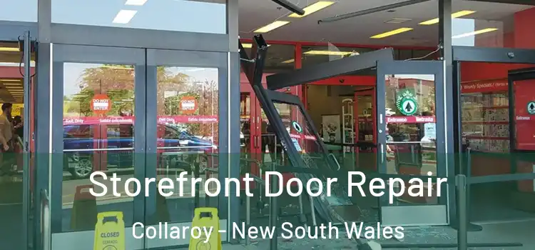 Storefront Door Repair Collaroy - New South Wales
