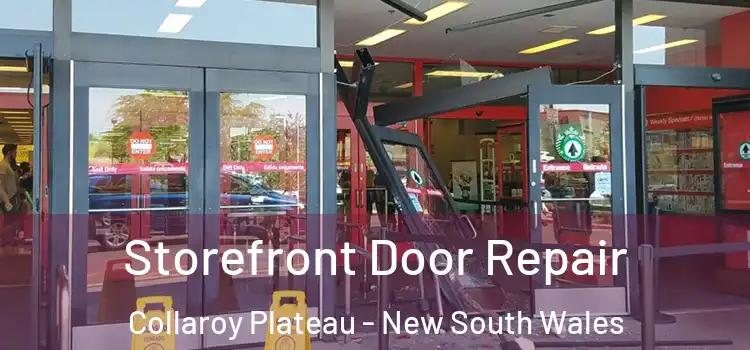 Storefront Door Repair Collaroy Plateau - New South Wales
