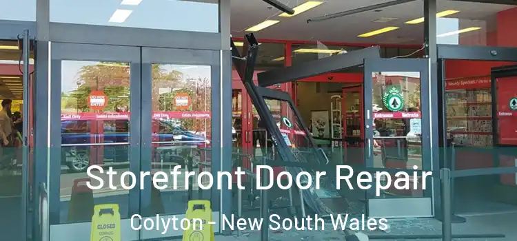 Storefront Door Repair Colyton - New South Wales