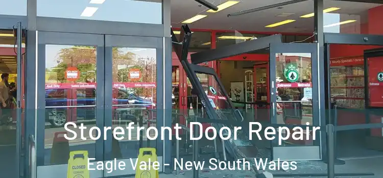 Storefront Door Repair Eagle Vale - New South Wales