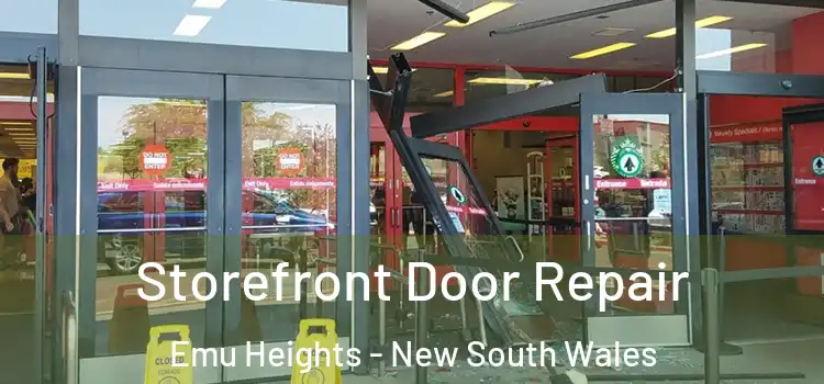 Storefront Door Repair Emu Heights - New South Wales
