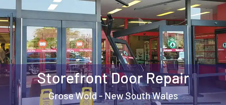 Storefront Door Repair Grose Wold - New South Wales