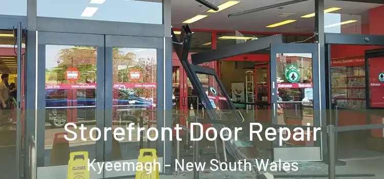 Storefront Door Repair Kyeemagh - New South Wales