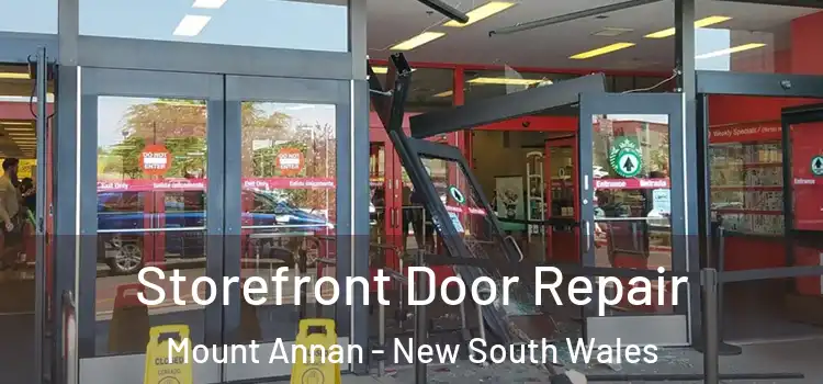 Storefront Door Repair Mount Annan - New South Wales