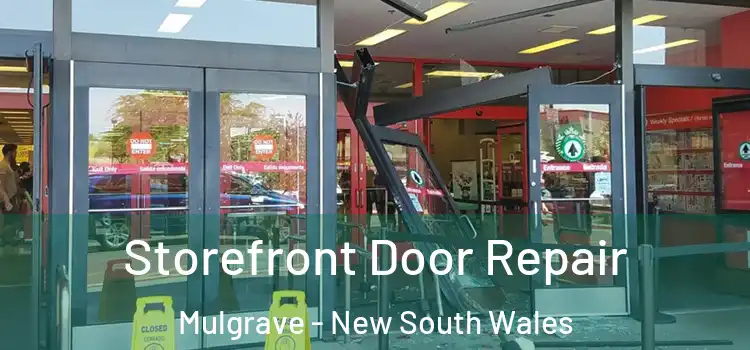 Storefront Door Repair Mulgrave - New South Wales