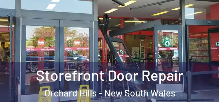 Storefront Door Repair Orchard Hills - New South Wales
